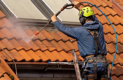 Démoussage et hydrofuge de toiture à Corbonod